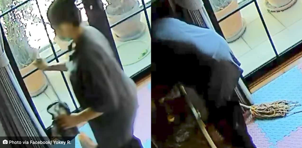 Chấn động: Cô giúp việc pha chất khử trùng vào sữa để đầu độc đứa trẻ 2 tuổi, bị bắt giữ ngay trên sóng truyền hình trực tiếp - ảnh 4