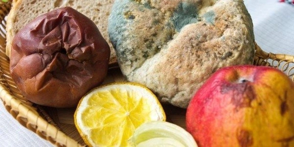 Ngày càng nhiều người tử vong vì ung thư gan, bác sĩ cảnh báo: 4 món này hại gan bậc nhất, ăn nhiều sau này hối hận không kịp- Ảnh 1.