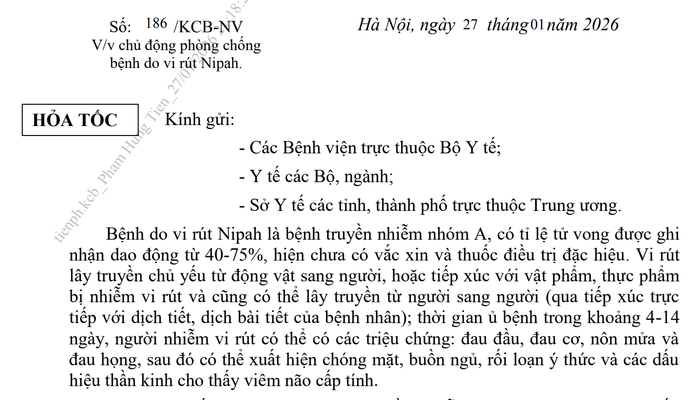 Bộ Y tế ra công văn hỏa tốc phòng, chống virus Nipah - Ảnh 1.