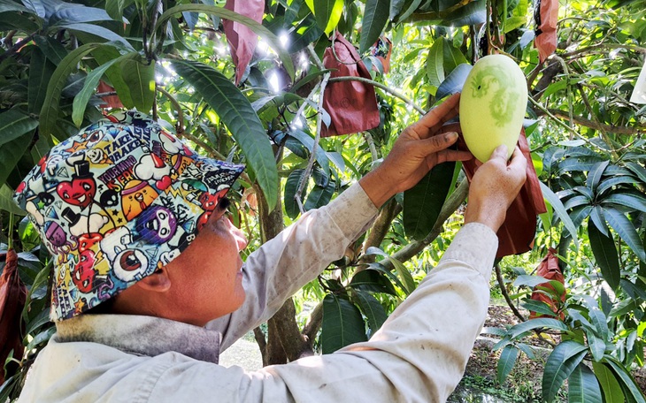 5 yếu tố âm thầm làm tăng nguy cơ bệnh tim ở phụ nữ sau 40 tuổi - Ảnh 2.