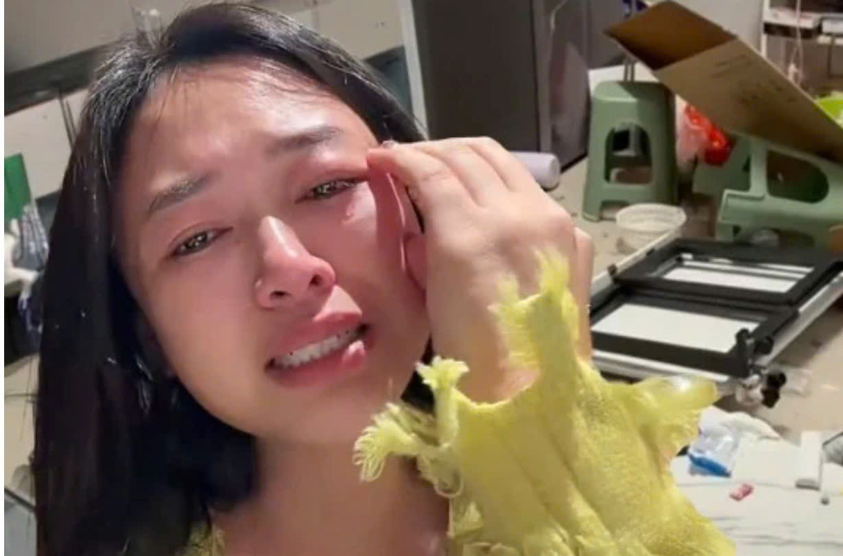 Vợ mua máy rửa bát hơn 5.000.000 đồng không xin phép, chồng nổi cơn thịnh nộ đập phá nhà cửa tan hoang- Ảnh 2.