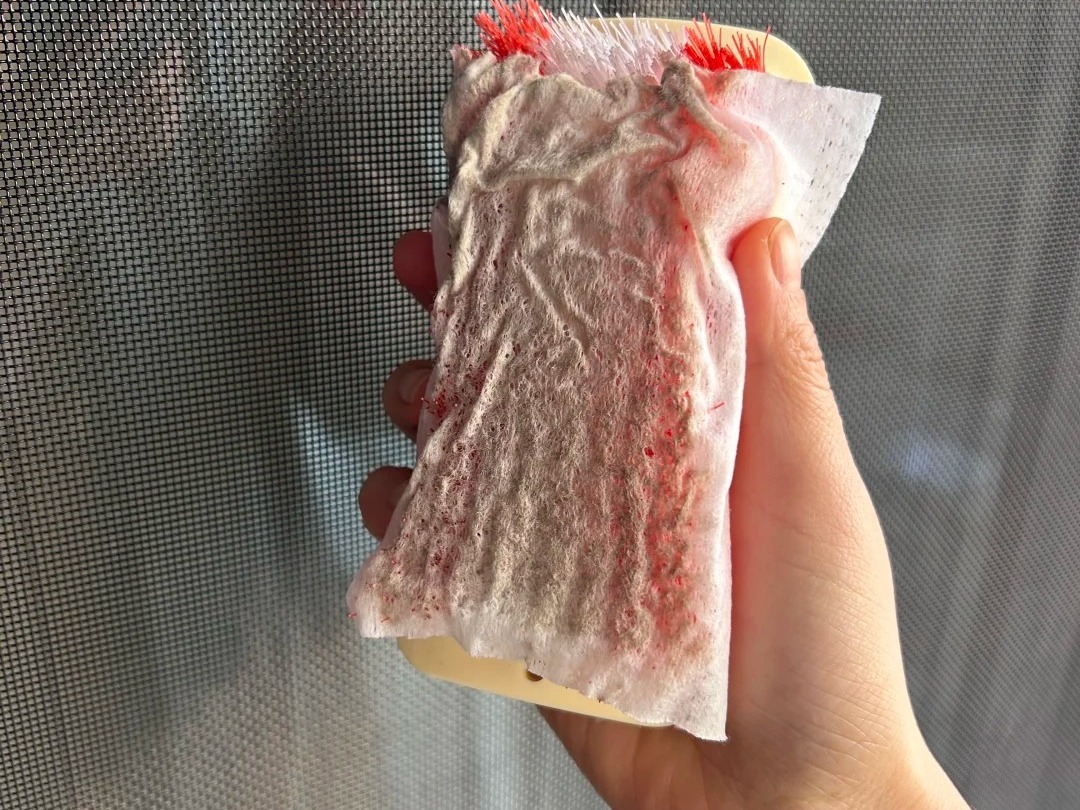 Cả nước bước vào 