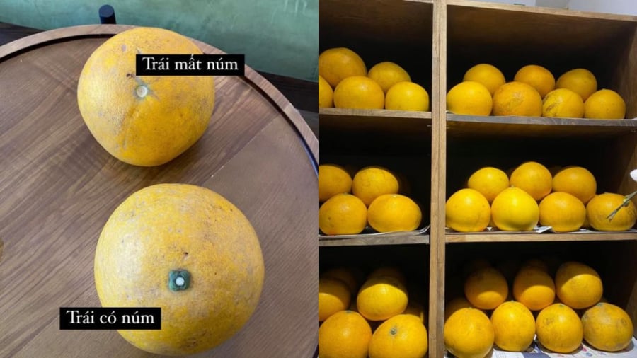 Nên chọn những quả bưởi còn núm.