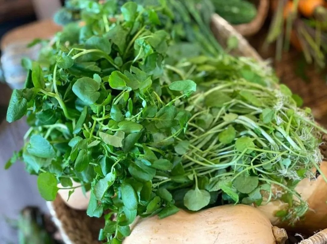 Chợ Việt có loại rau 10.000/bó, là