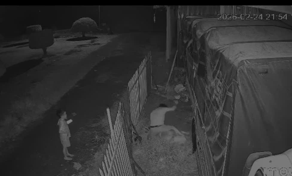 Đồng Tháp: Chồng đâm vợ bất chấp con nhỏ cầu xin "cha đừng xử lý mẹ"- Ảnh 1.