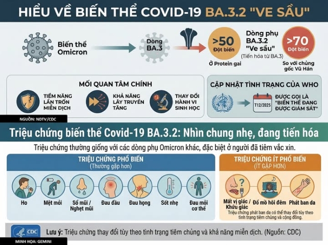 Tất cả những điều cần biết về biến thể COVID-19 "ve sầu" đang lây lan khắp 23 quốc gia, trong đó có cả Việt Nam- Ảnh 2.