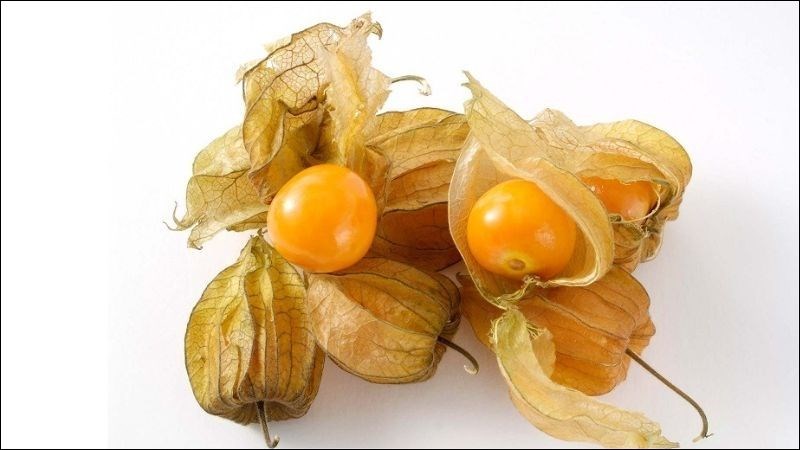 Trong quả tầm bóp chứa nhiều thành phần có lợi cho sức khoẻ