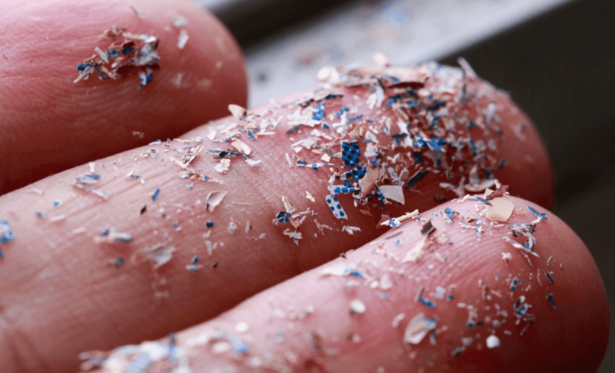 Top 2 loại củ quả đứng đầu danh sách nhiễm vi nhựa nhưng người Việt vẫn vô tư ăn hàng ngày- Ảnh 1.