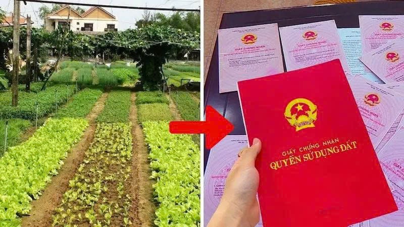 z7756032988641_97c3fba77bd342ca8deedb2613820c92