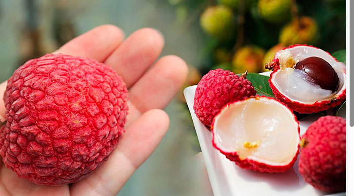 Lời khuyên cho những người thích ăn vải- Ảnh 2.