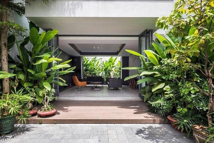 5 loại cây không nên trồng trước cửa nhà: Cây càng xanh tốt nhà càng suy- Ảnh 1.