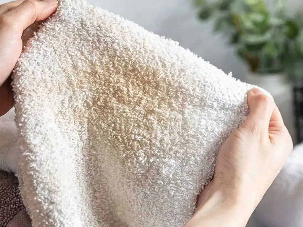 Bác sĩ da liễu cảnh báo đến tất cả những người đang dùng khăn mặt! - Ảnh 1.