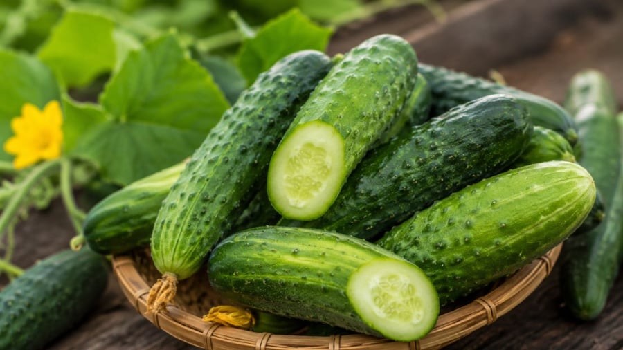 Dưa chuột bị đắng thường do chất tự nhiên sinh ra trong quả