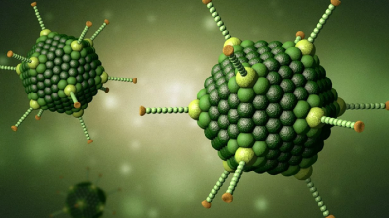 1 loại virus đang tăng nhanh, bể bơi công cộng nguy cơ lây nhiễm: Bác sĩ cảnh báo dấu hiệu trẻ mắc bệnh, phụ huynh đừng chủ quan - Ảnh 3.