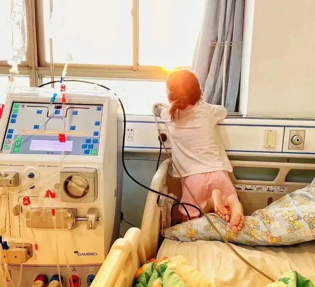 Học sinh lớp 3 qua đời sau 30 ngày phát hiện ung thư thận vì món tráng miệng mềm mềm, thơm ngọt "vạn người mê" - áº¢nh 2.