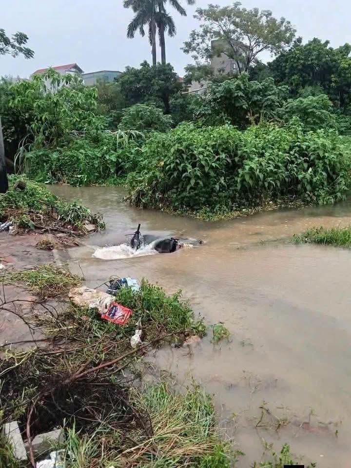 Không có mô tả ảnh.