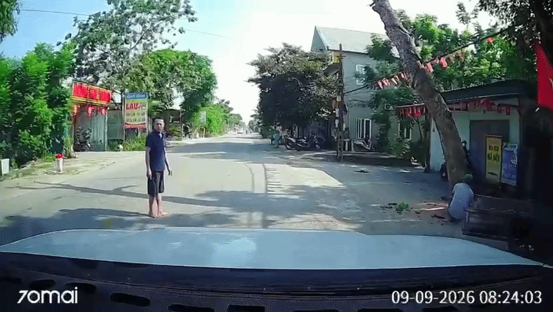 Vụ cưa cây đổ ra đường, đè người đi xe máy tử vong: Triệu tập chủ nhà và người cưa cây thuê - Ảnh 1.