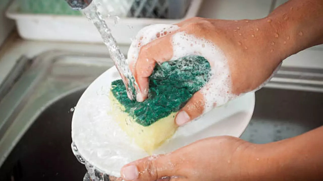 Tất cả các gia đình đang dùng miếng bọt biển rửa bát xin chú ý! - áº¢nh 4.