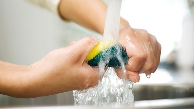 Tất cả các gia đình đang dùng miếng bọt biển rửa bát xin chú ý! - áº¢nh 5.