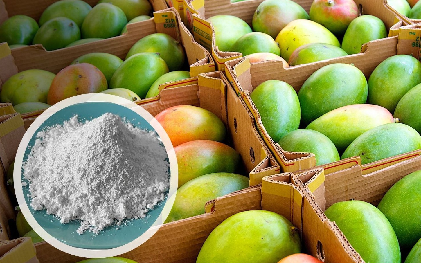 Loại rau "tốt nhất thế giới", xưa chỉ dùng cho vua chúa, nay chợ Việt bán vài nghìn cả mớ: Cực tốt cho sức khỏe! - Ảnh 3.