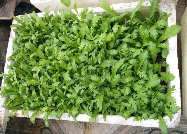 Loại rau tốt trên thế giới, xưa chỉ dùng cho vua chúa, nay chợ Việt bán vài nghìn cả mớ: Cực tốt cho sức khỏe! - Ảnh 1.