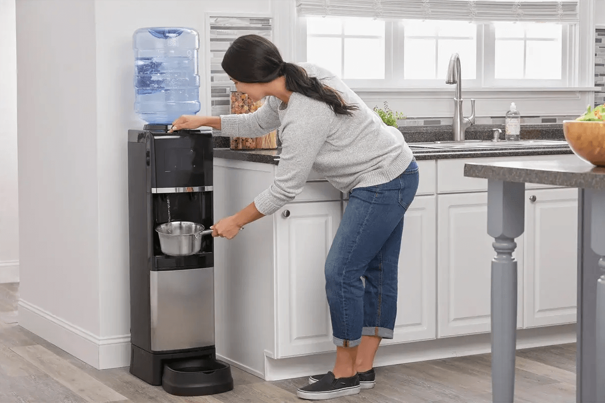 Vị trí đặt bình nước trong nhà: Sự kết hợp giữa phong thủy và thực tiễn - Primer
